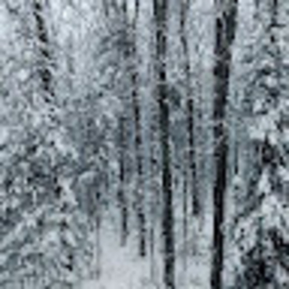 Meet your Posher, Rob - Picture 1 of 1